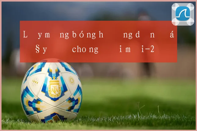 Lấy mạng bóng hướng dẫn đầy đủ cho người mới