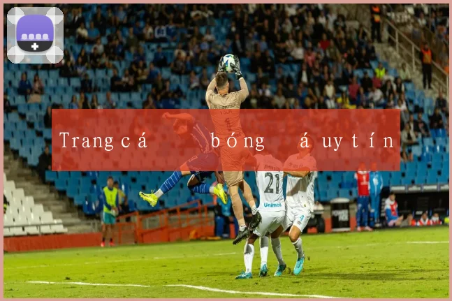 Trang cá độ bóng đá uy tín