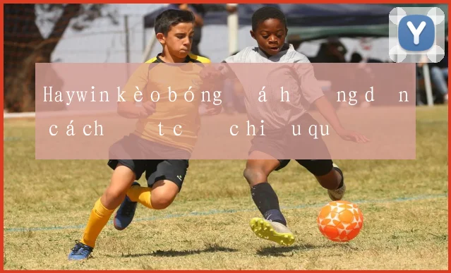 Haywin kèo bóng đá hướng dẫn cách đặt cược hiệu quả