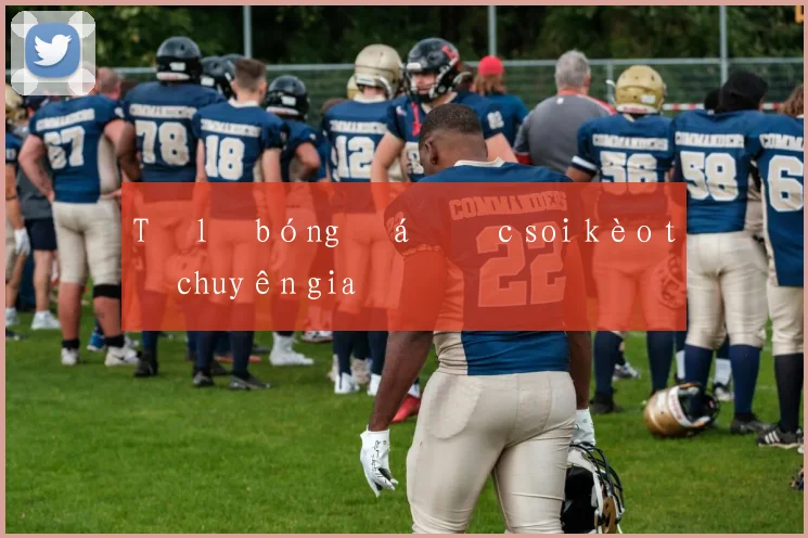 Tỷ lệ bóng đá đức soi kèo từ chuyên gia