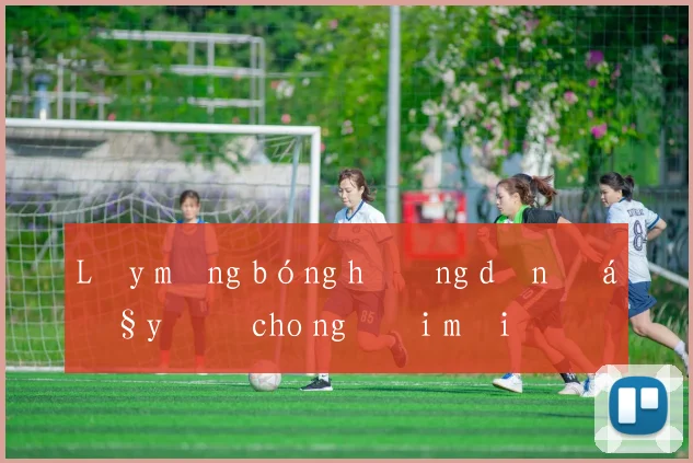 Lấy mạng bóng hướng dẫn đầy đủ cho người mới